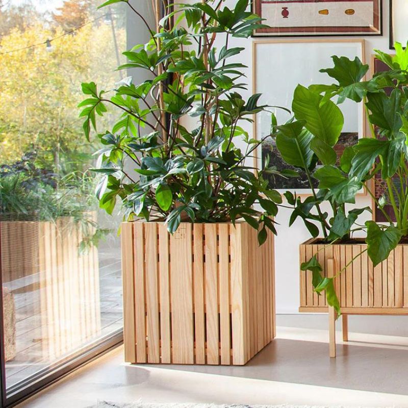 Squarely Copenhagen GrowBIG plantekasse i naturlig asketræ – Wood To You