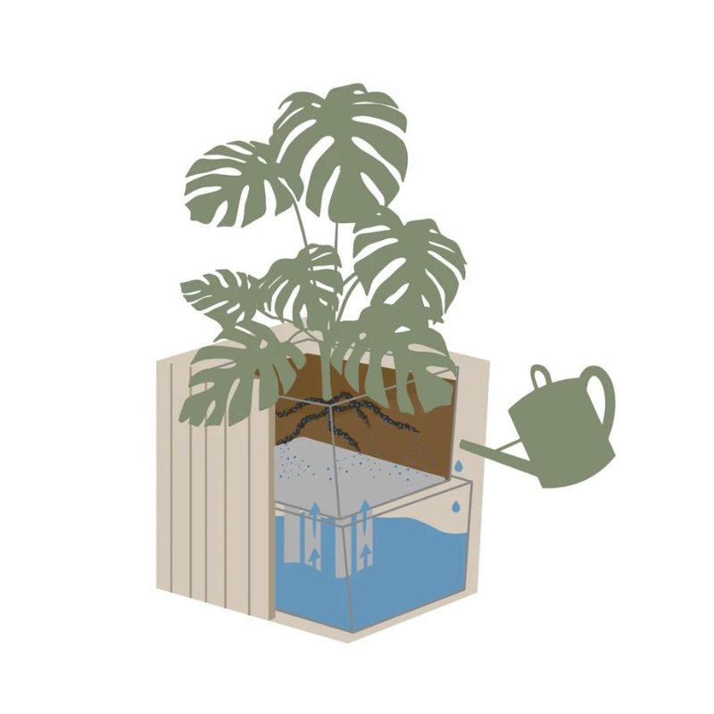 Squarely Copenhagen GrowBIG plantekasse i naturlig asketræ – Wood To You